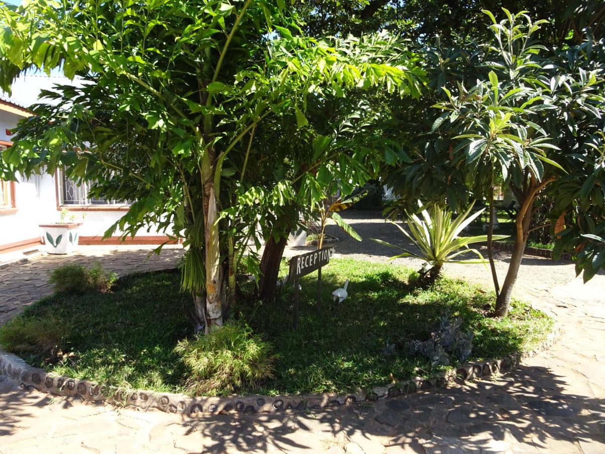 White Rose Lodge Livingstone Exterior photo